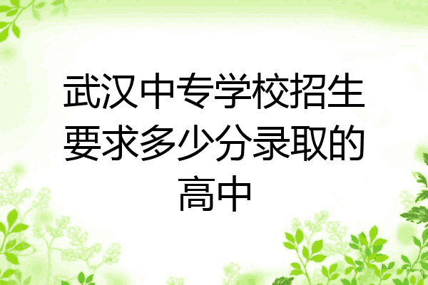 武汉中专学校招生要求多少分录取的高中