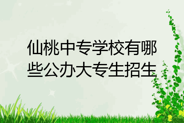 仙桃中专学校有哪些公办大专生招生