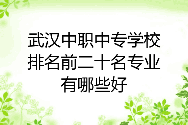 武汉中职中专学校排名前二十名专业有哪些好