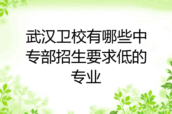 武汉卫校有哪些中专部招生要求低的专业