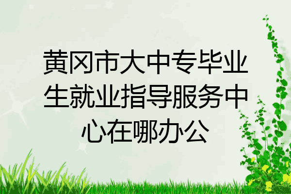 黄冈市大中专毕业生就业指导服务中心在哪办公