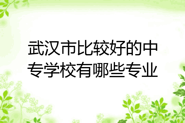 武汉市比较好的中专学校有哪些专业