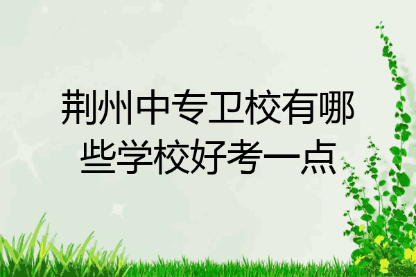 荆州中专卫校有哪些学校好考一点