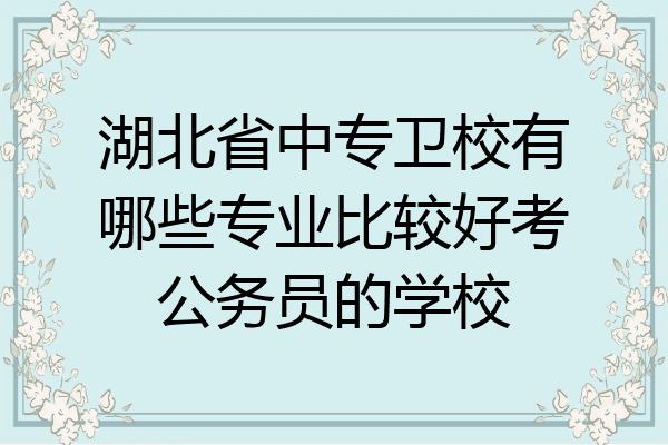 湖北省中专卫校有哪些专业比较好考公务员的学校
