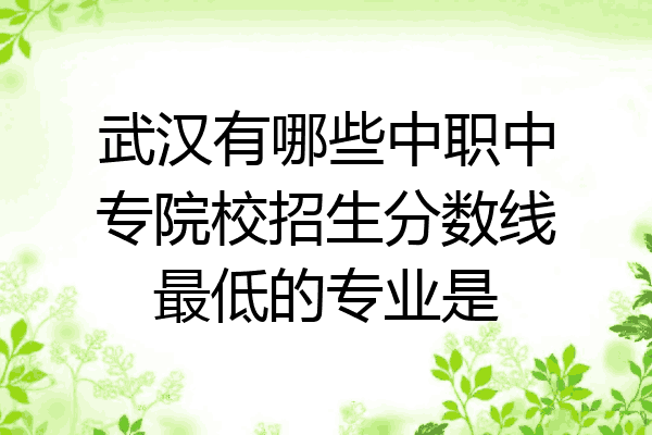 武汉有哪些中职中专院校招生分数线最低的专业是
