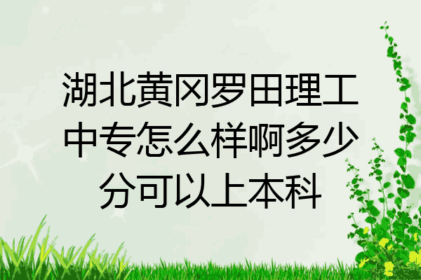 湖北黄冈罗田理工中专怎么样啊多少分可以上本科