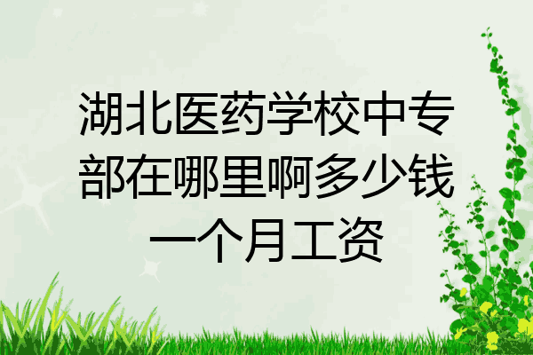 湖北医药学校中专部在哪里啊多少钱一个月工资
