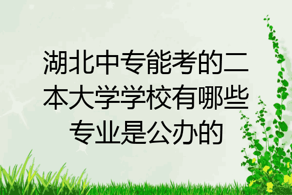 湖北中专能考的二本大学学校有哪些专业是公办的