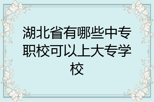 湖北省有哪些中专职校可以上大专学校