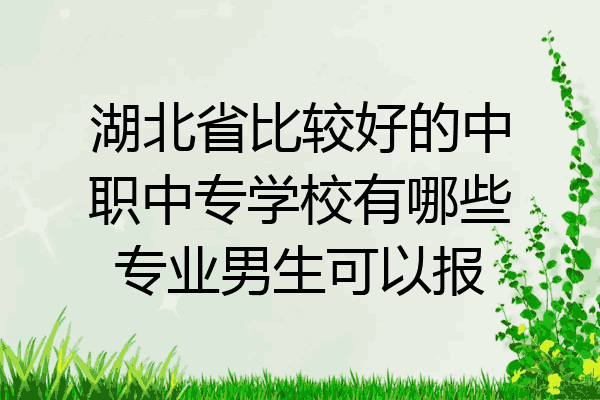 湖北省比较好的中职中专学校有哪些专业男生可以报