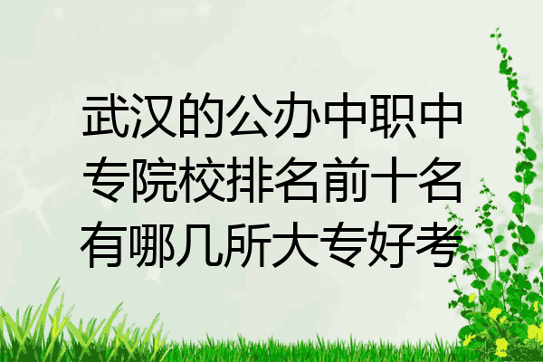 武汉的公办中职中专院校排名前十名有哪几所大专好考