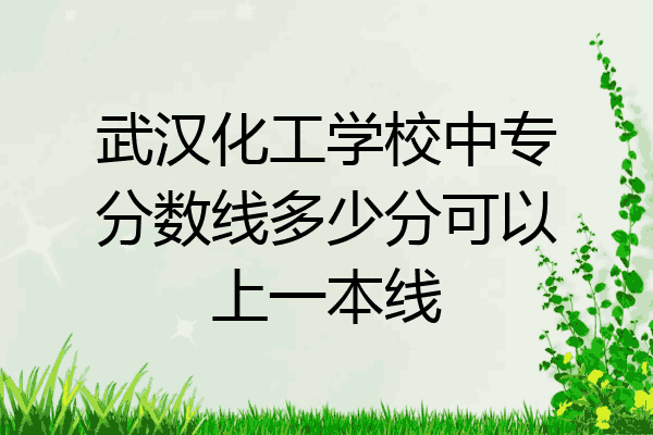 武汉化工学校中专分数线多少分可以上一本线
