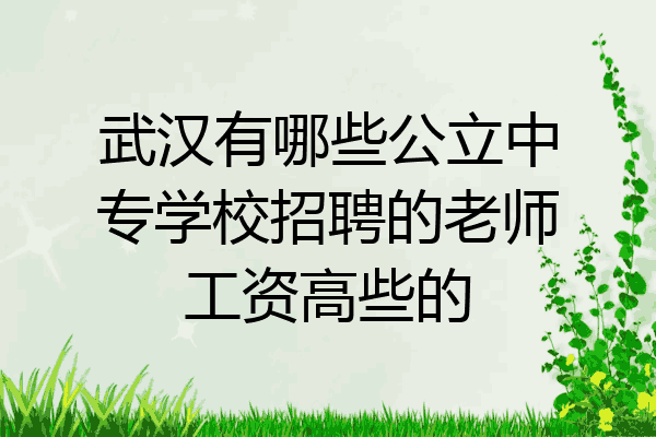 武汉有哪些公立中专学校招聘的老师工资高些的