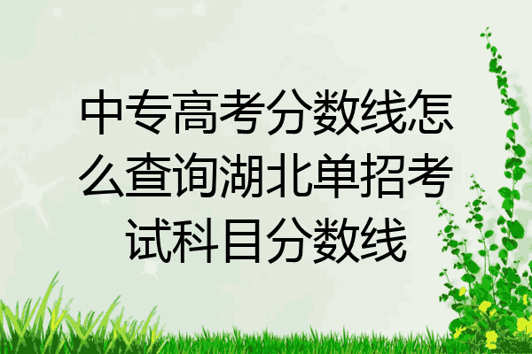 中专高考分数线怎么查询湖北单招考试科目分数线
