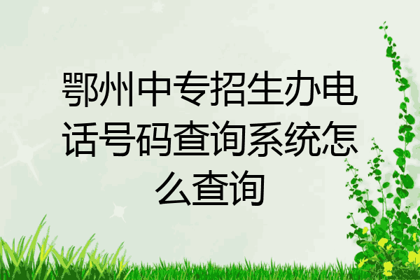 鄂州中专招生办电话号码查询系统怎么查询