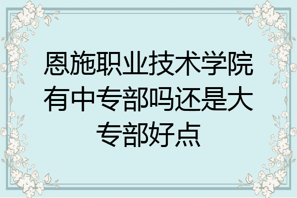 恩施职业技术学院有中专部吗还是大专部好点