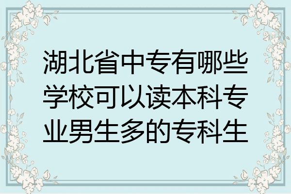 湖北省中专有哪些学校可以读本科专业男生多的专科生