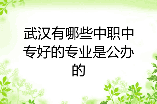 武汉有哪些中职中专好的专业是公办的