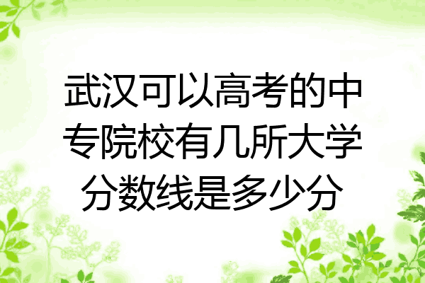 武汉可以高考的中专院校有几所大学分数线是多少分