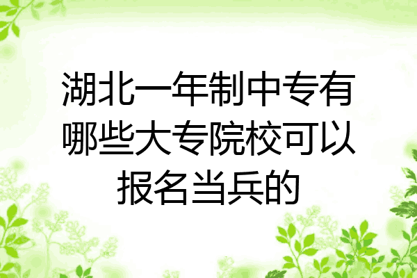 湖北一年制中专有哪些大专院校可以报名当兵的