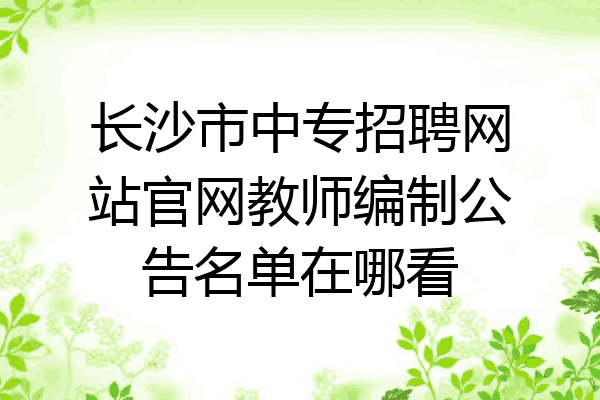长沙市中专招聘网站官网教师编制公告名单在哪看