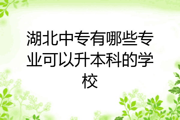 湖北中专有哪些专业可以升本科的学校