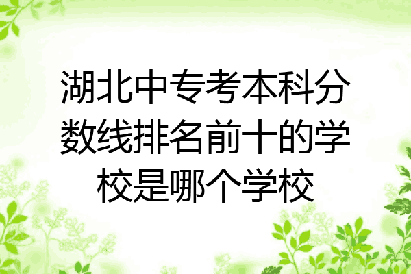 湖北中专考本科分数线排名前十的学校是哪个学校