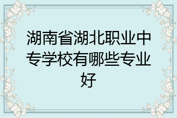 湖南省湖北职业中专学校有哪些专业好