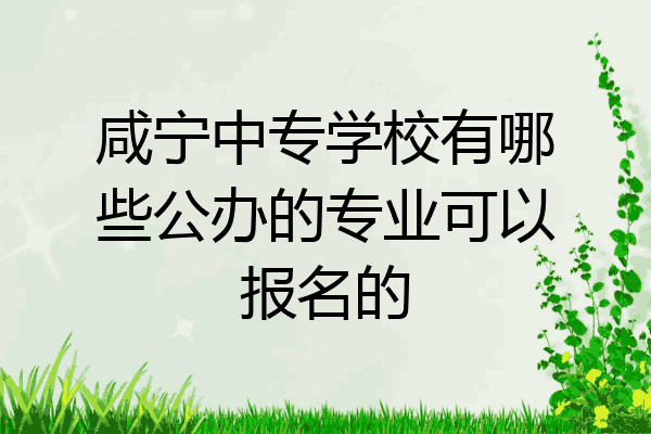 咸宁中专学校有哪些公办的专业可以报名的