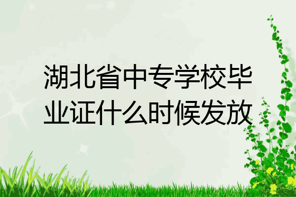 湖北省中专学校毕业证什么时候发放