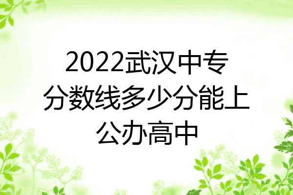 2022武汉中专分数线多少分能上公办高中