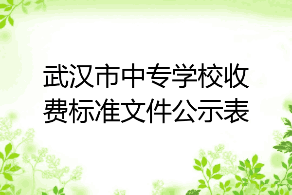 武汉市中专学校收费标准文件公示表