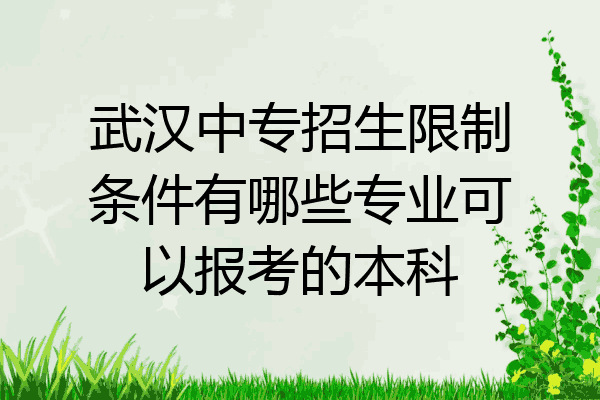 武汉中专招生限制条件有哪些专业可以报考的本科