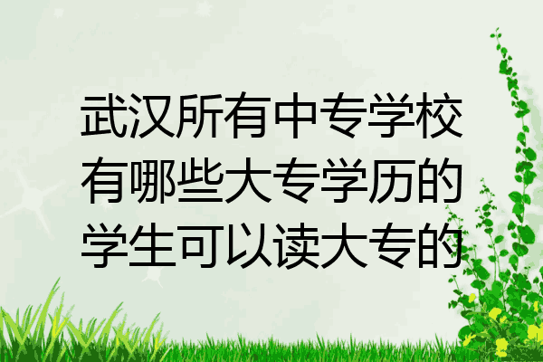 武汉所有中专学校有哪些大专学历的学生可以读大专的