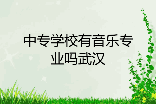 中专学校有音乐专业吗武汉