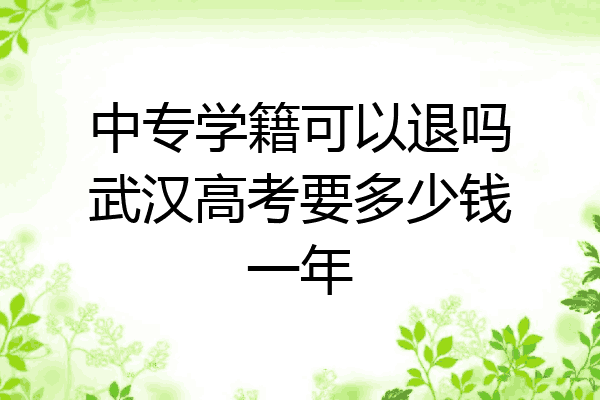 中专学籍可以退吗武汉高考要多少钱一年