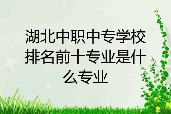 湖北中职中专学校排名前十专业是什么专业