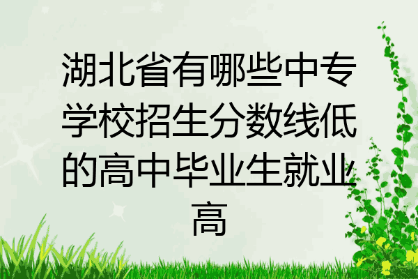 湖北省有哪些中专学校招生分数线低的高中毕业生就业高