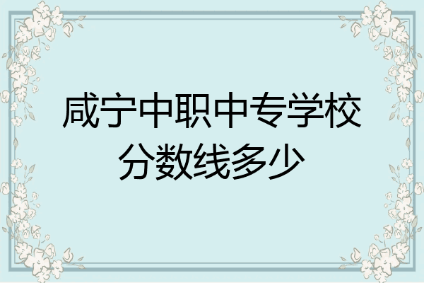 咸宁中职中专学校分数线多少