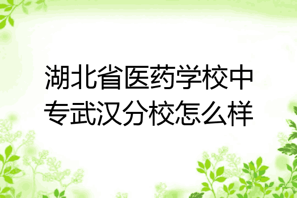 湖北省医药学校中专武汉分校怎么样
