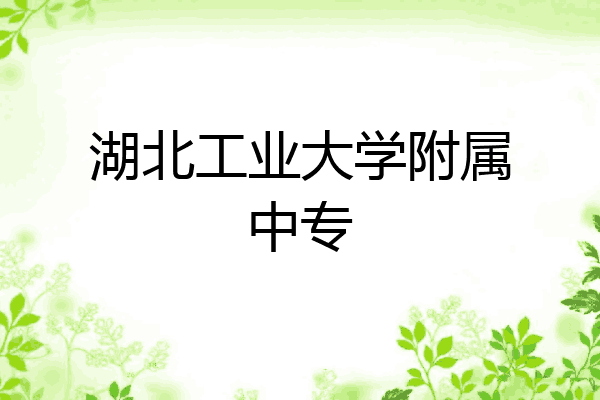 湖北工业大学附属中专