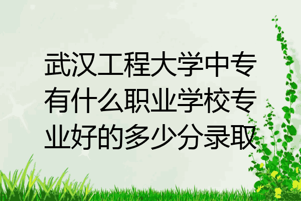 武汉工程大学中专有什么职业学校专业好的多少分录取
