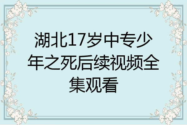湖北17岁中专少年之死后续视频全集观看