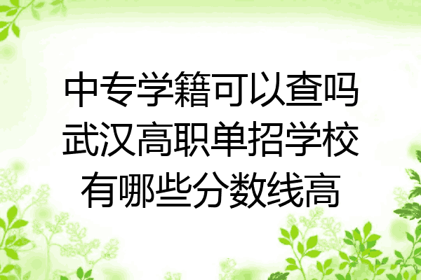 中专学籍可以查吗武汉高职单招学校有哪些分数线高