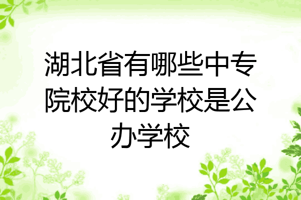 湖北省有哪些中专院校好的学校是公办学校
