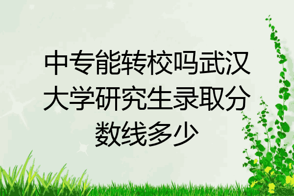 中专能转校吗武汉大学研究生录取分数线多少