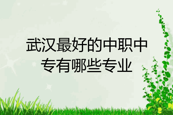 武汉最好的中职中专有哪些专业