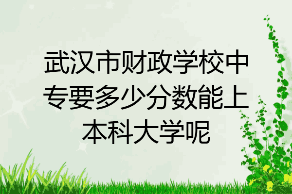 武汉市财政学校中专要多少分数能上本科大学呢