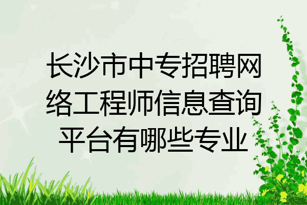 长沙市中专招聘网络工程师信息查询平台有哪些专业