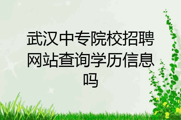 武汉中专院校招聘网站查询学历信息吗